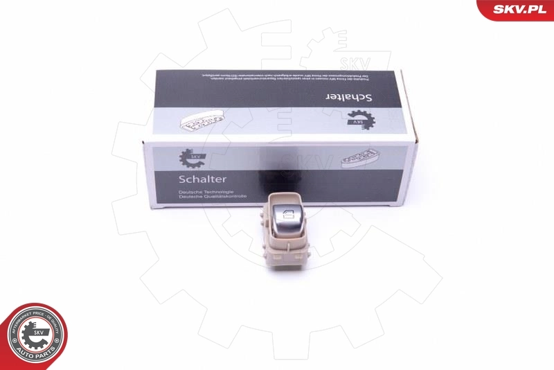 Switch, window regulator